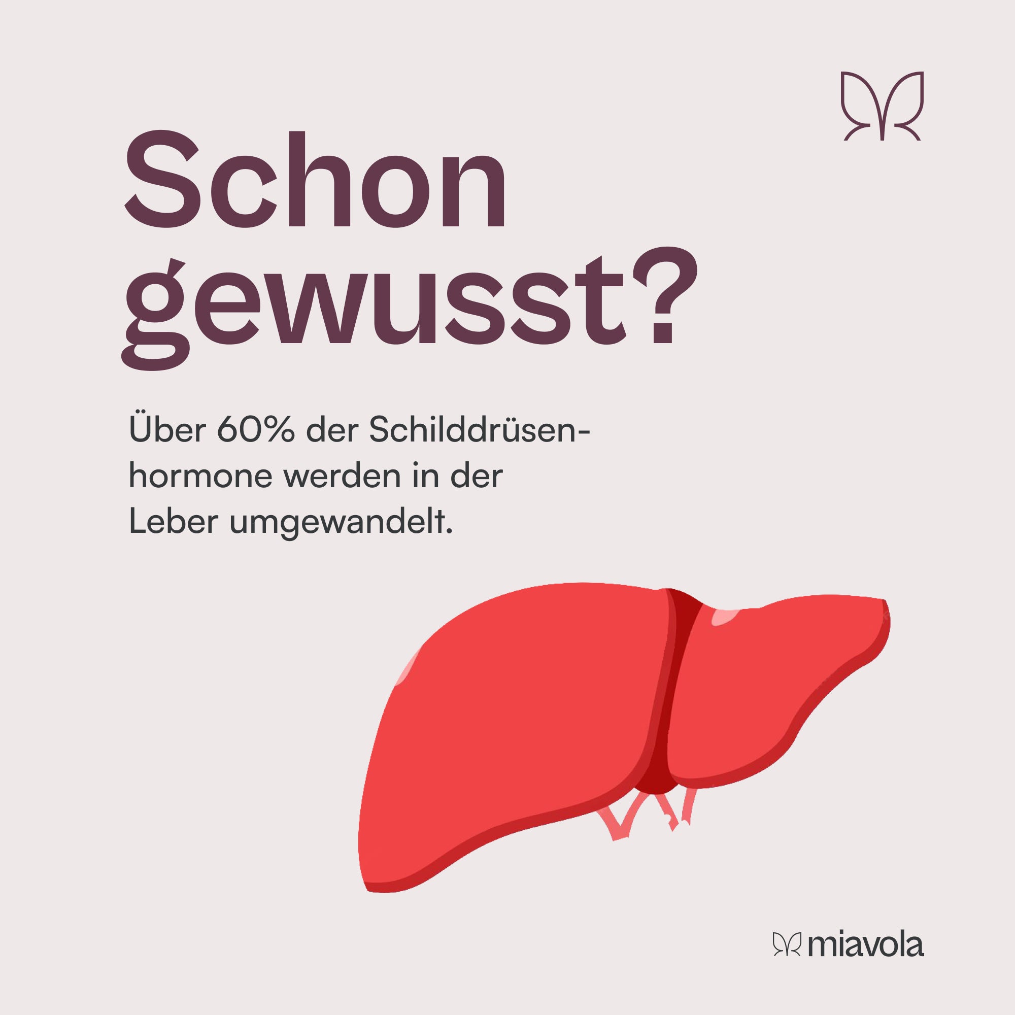 Der Umwandler®