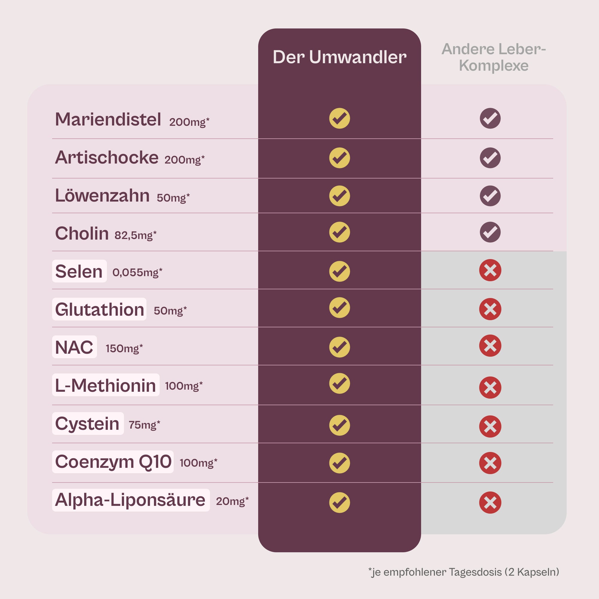 Der Umwandler®