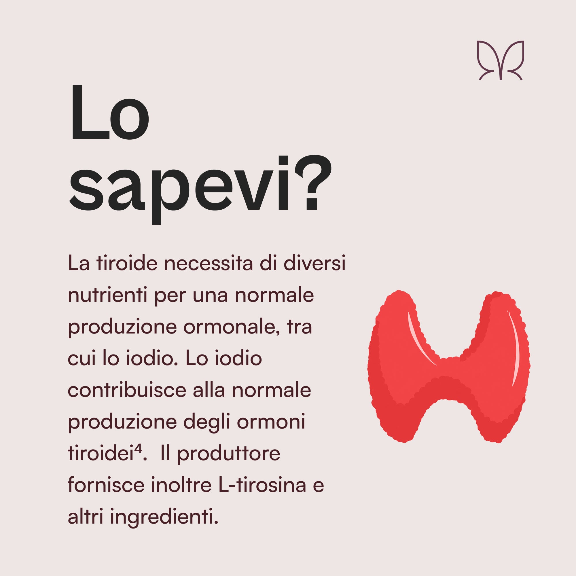 Producent®