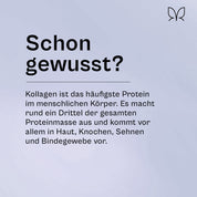 Kolagen-MCT