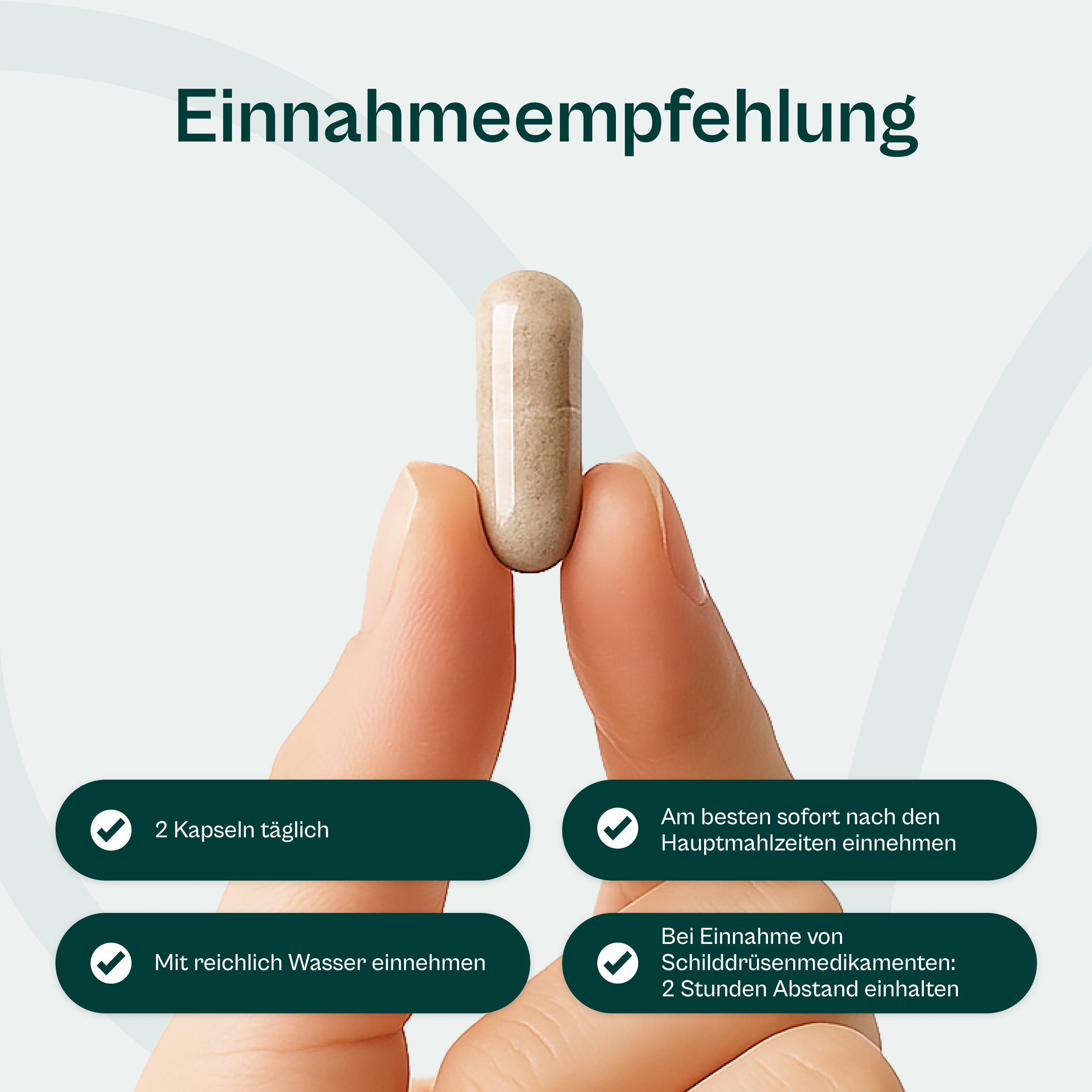 Przyjaciel żołądka®