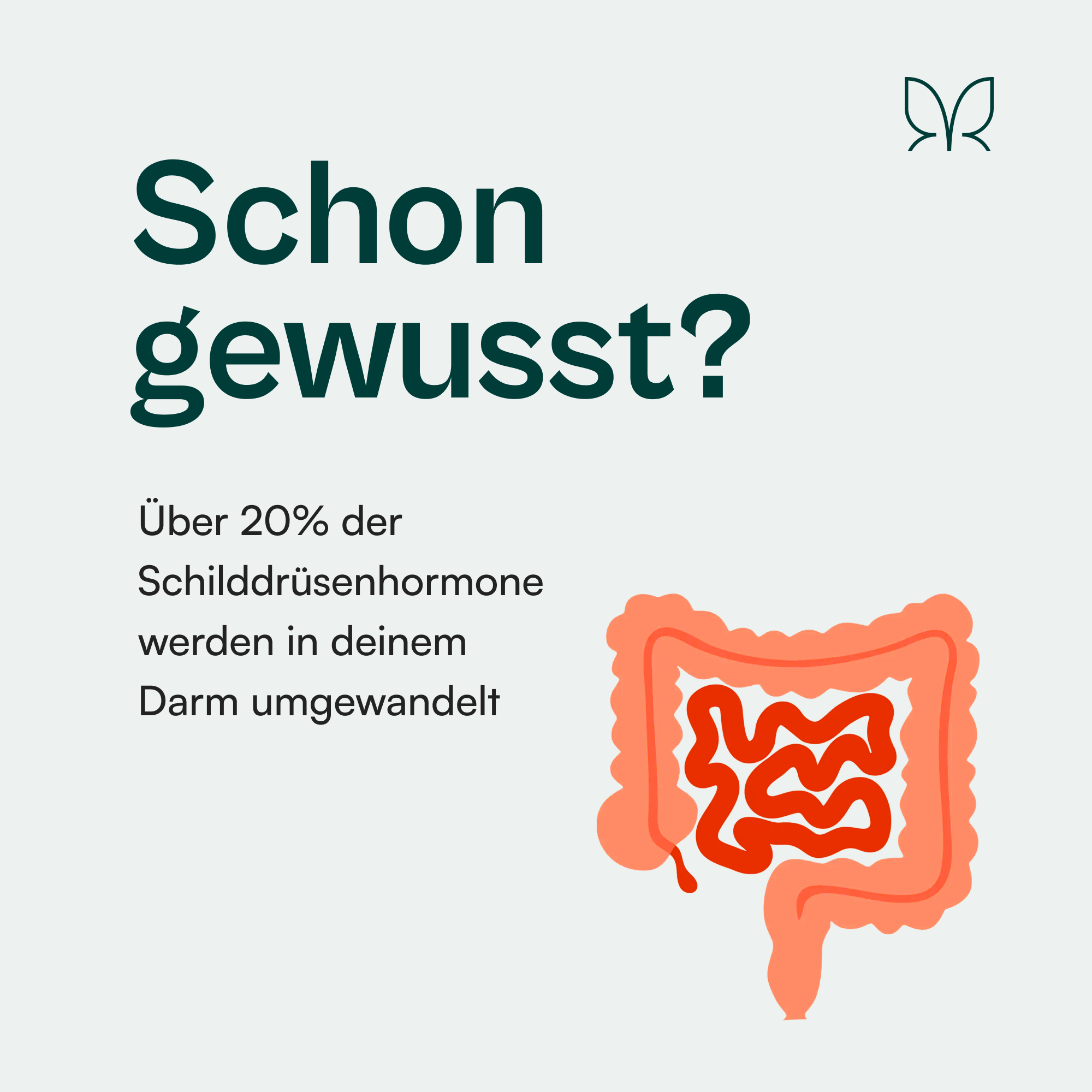 Przyjaciel żołądka®