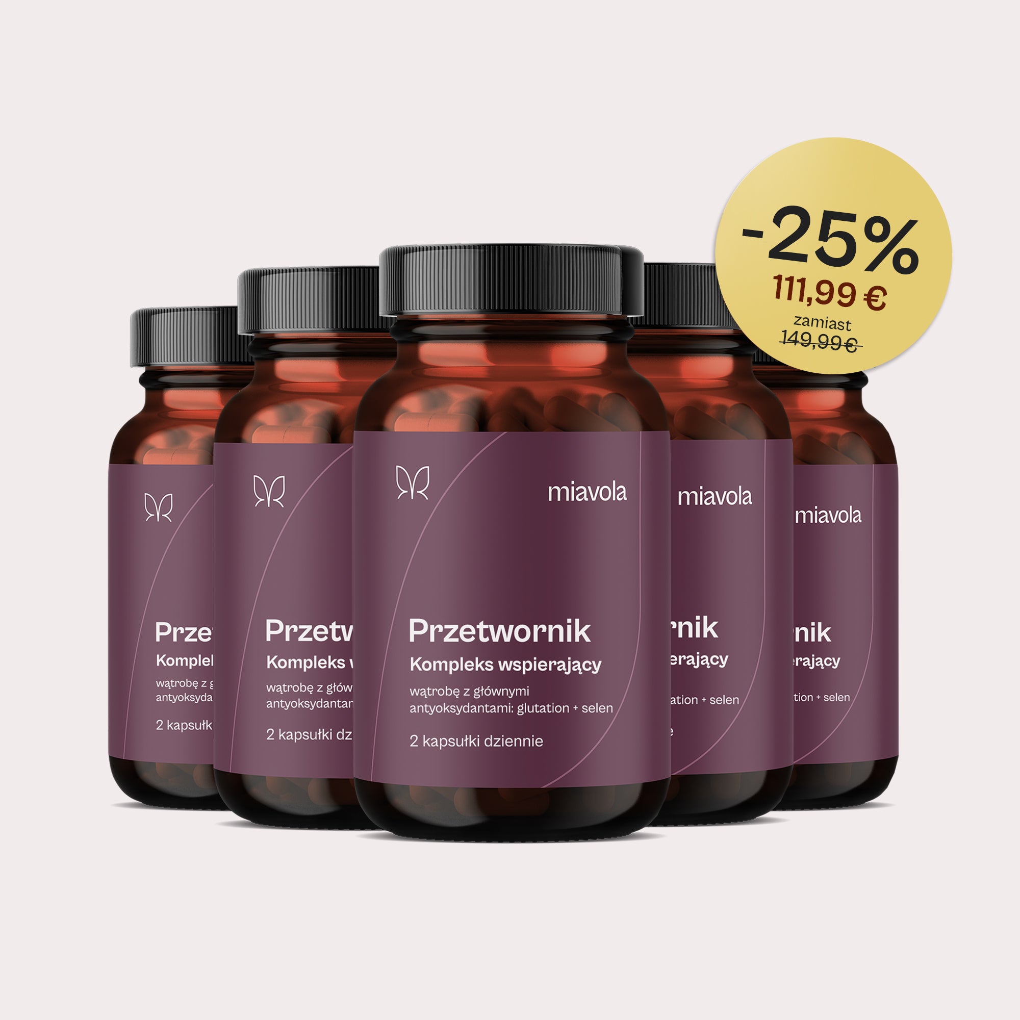 Przetwornik® - Kompleks wspierający