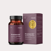 Przetwornik