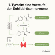 Pakiet proteinowy - zapas na 30 dni