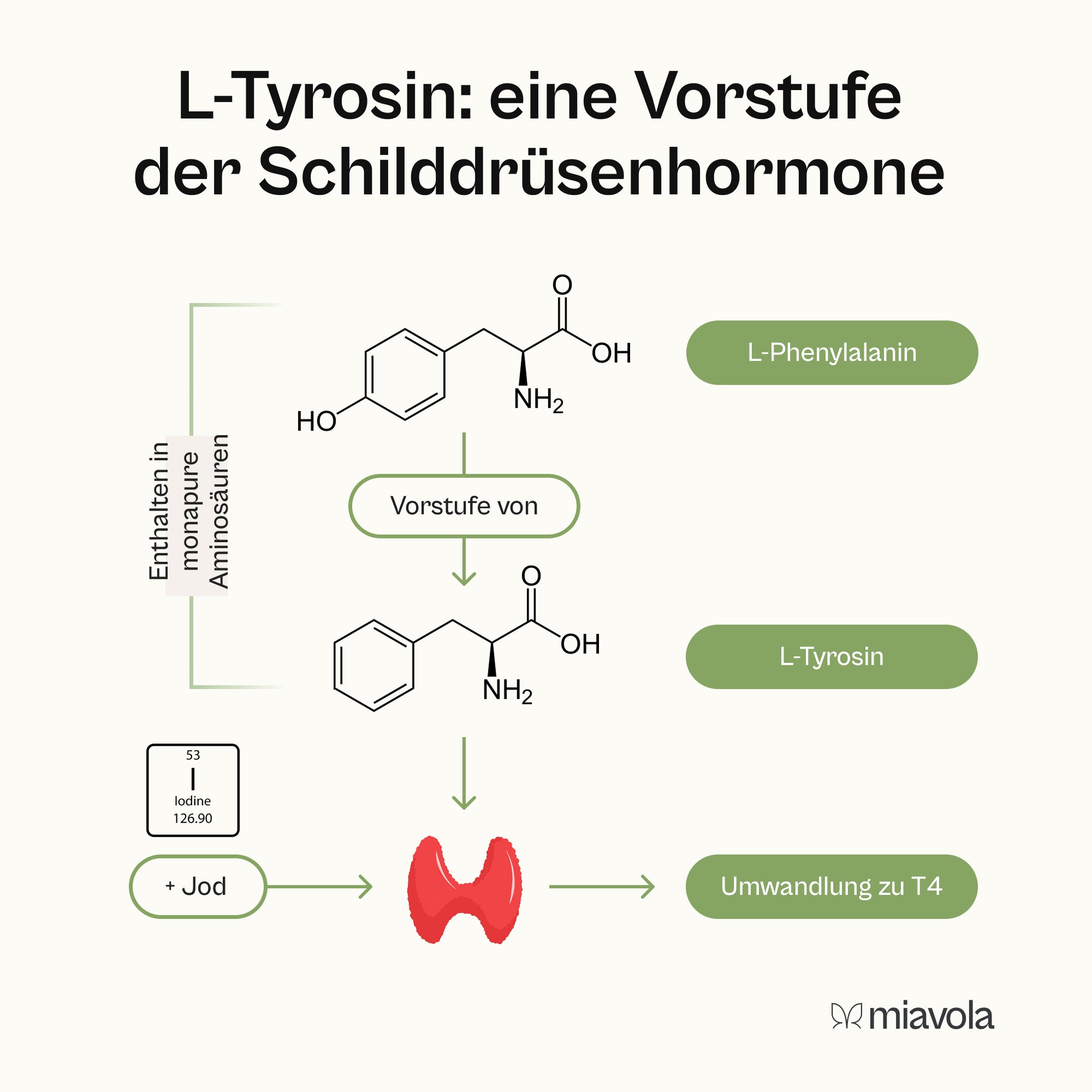 Pakiet proteinowy - zapas na 30 dni